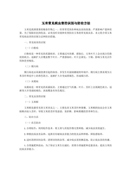 玉米常见病虫害的识别与防治方法