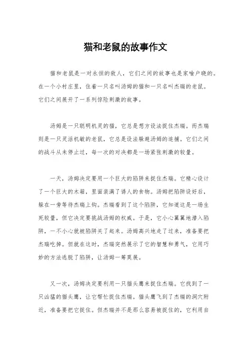 猫和老鼠的故事作文