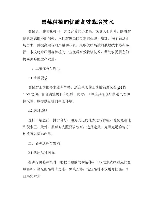 黑莓种植的优质高效栽培技术