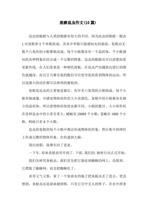 观察昆虫作文(10篇)精选