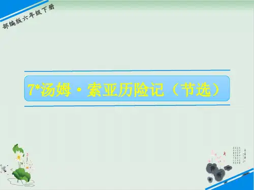六年级下册语文汤姆索亚历险记(节选)ppt人教部编