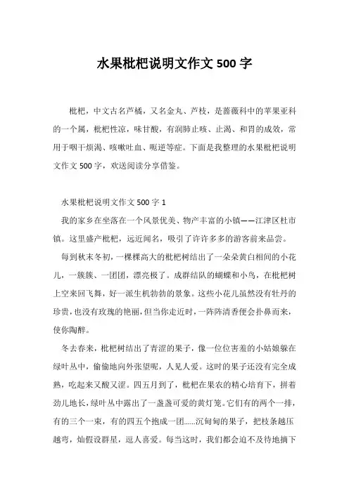 (说明文)水果枇杷说明文作文500字