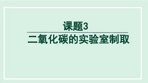 第六单课题3+二氧化碳的实验室制取课件+-2024-2025学年九年级化学人教版(2024)上册
