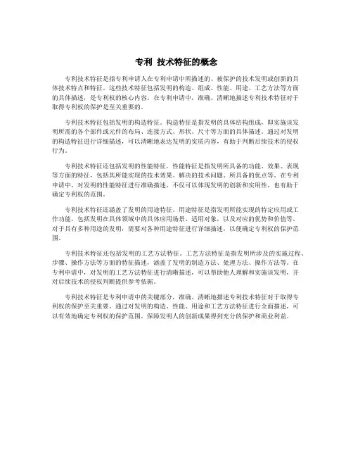 专利 技术特征的概念