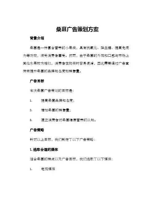 桑葚广告策划方案