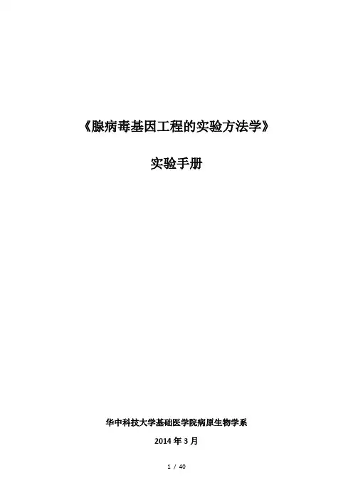 腺病毒基因工程实验方法学实验讲义