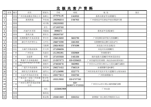 2013广东客户资料统计表(北极光)