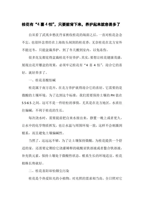 桂花有“4喜4怕”,只要能背下来,养护起来就容易多了