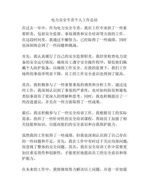 电力安全专责个人工作总结