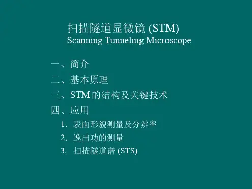 扫描隧道显微镜STM