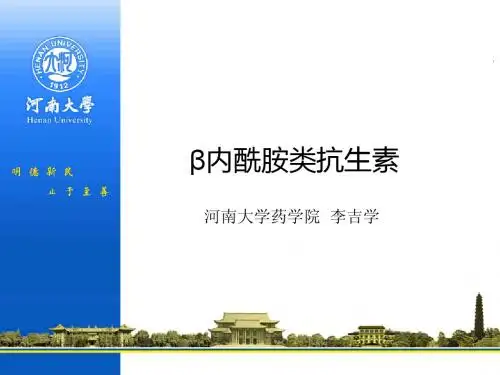 β内酰胺类抗生素-学生用