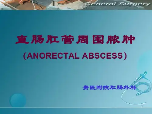 肛周脓肿PPT课件