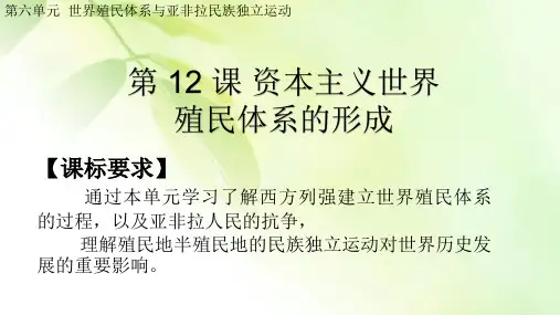 2019-2020学年历史新教材部编版必修中外历史纲要下 第12课资本主义世界殖民体系的形成 课件(20张)