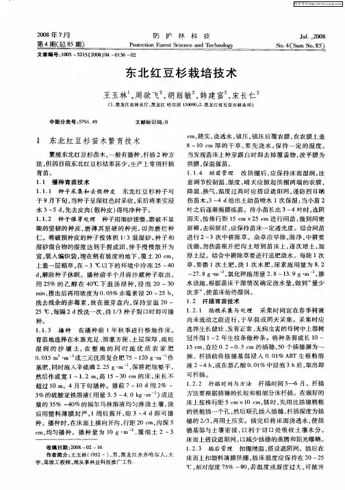东北红豆杉栽培技术