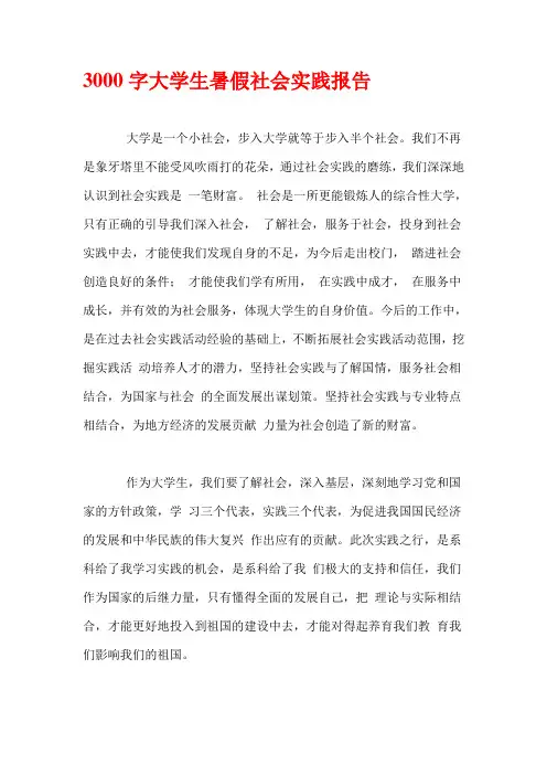 3000字大学生暑假社会实践报告