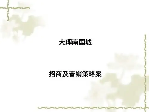 南国城招商及营销策略案(PPT 41张)
