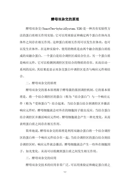 酵母双杂交的原理