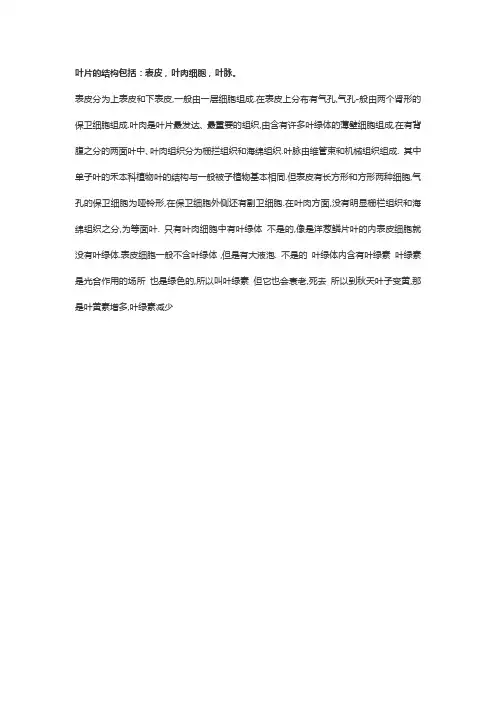 叶片的结构