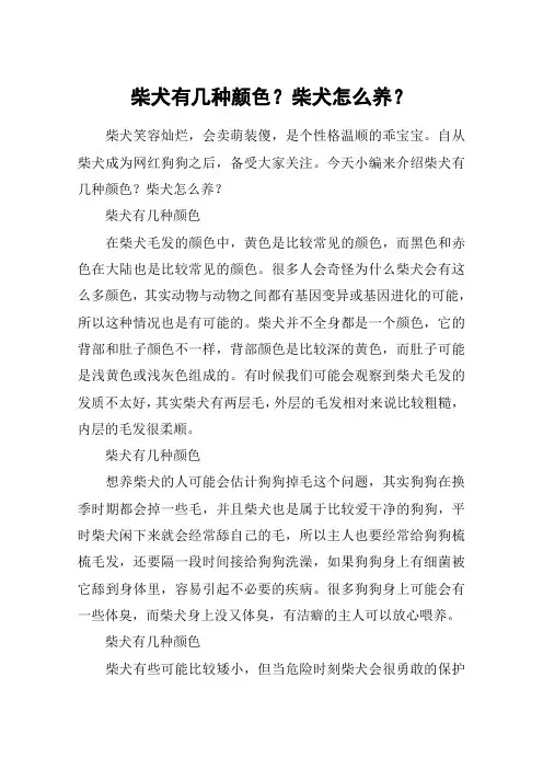 柴犬有几种颜色？柴犬怎么养？