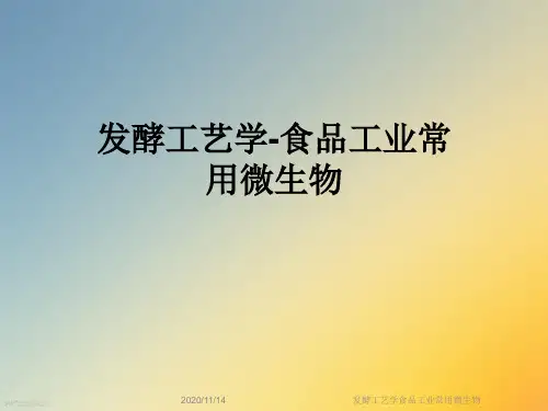 发酵工艺学食品工业常用微生物