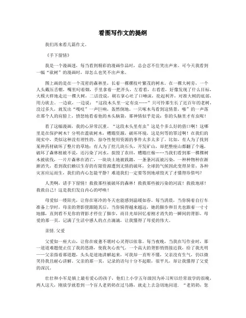 看图写作文的提纲