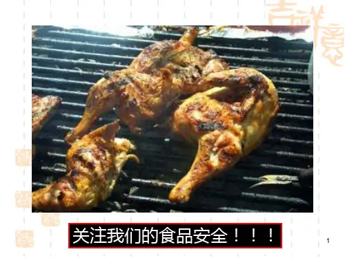 食品卫生与食品安全PPT课件