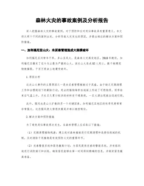 森林火灾的事故案例及分析报告
