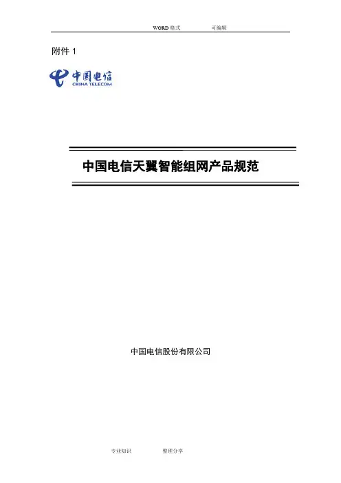 我国电信天翼智能组网产品规范方案