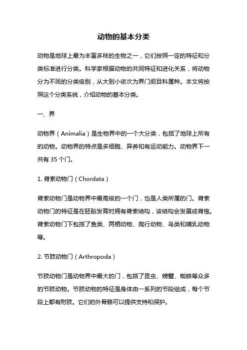 动物的基本分类