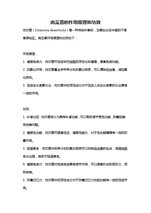 肉苁蓉的作用原理和功效
