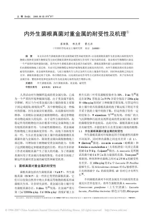 内外生菌根真菌对重金属的耐受性及机理