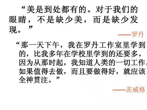 26《全神贯注》(完美上课)课件