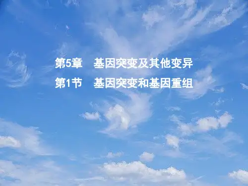 高中生物第5章基因突变及其他变异第1节基因突变和基因重组课件新人教版必修