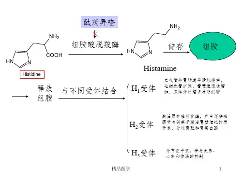 《抗过敏药》PPT课件