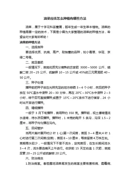 油菜应该怎么种植有哪些方法
