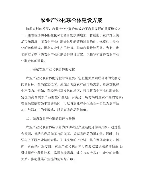 农业产业化联合体建设方案