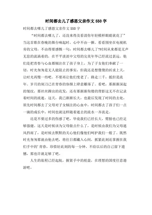 时间都去儿了感恩父亲作文550字
