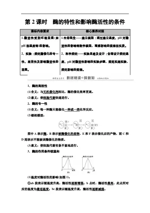 2020-2021学年生物新教材人教必修1学案：第5章第1节第2课时酶的特性和影响酶活性的条件含解析