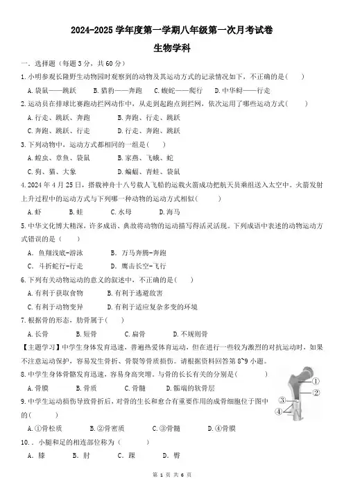 广东省2024-2025学年八年级上学期第一次月考生物试题