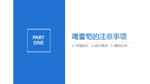 喝雪菊的注意事项