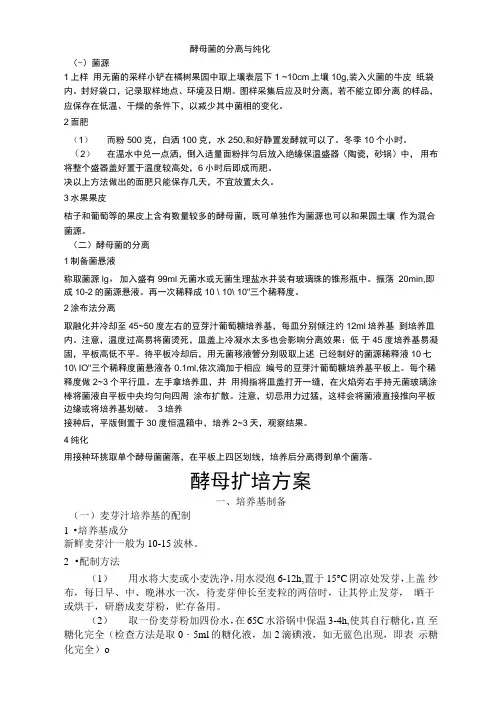 酵母菌的分离与纯化