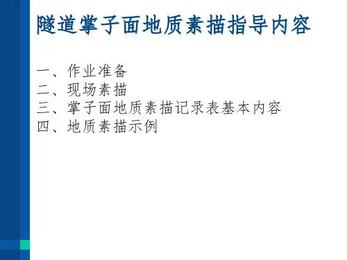 隧道掌子面地质素描