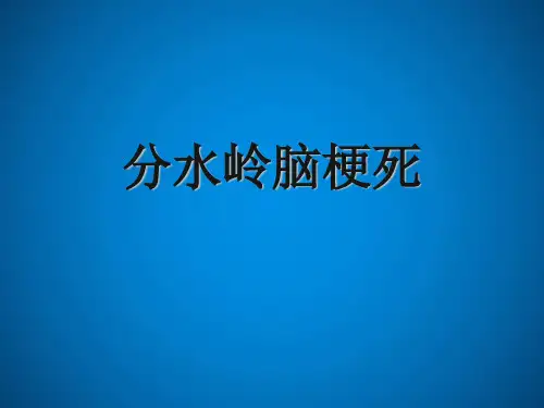 分水岭脑梗死-精品医学课件