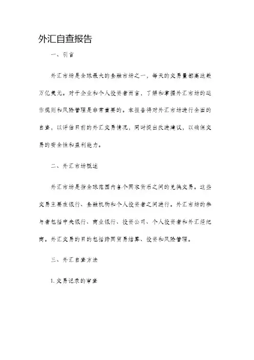 外汇自查报告