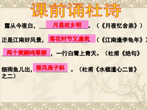 杜甫诗《望岳》《春望》公开课PPT