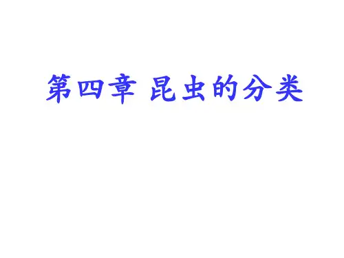 第四章 昆虫分类学