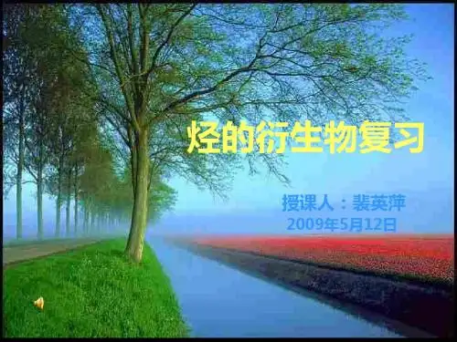 烃的衍生物知识总结ppt 人教课标版