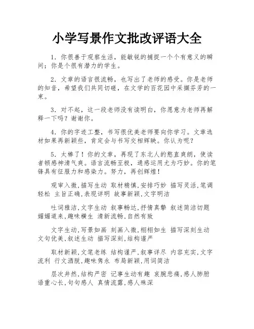 小学写景作文批改评语大全