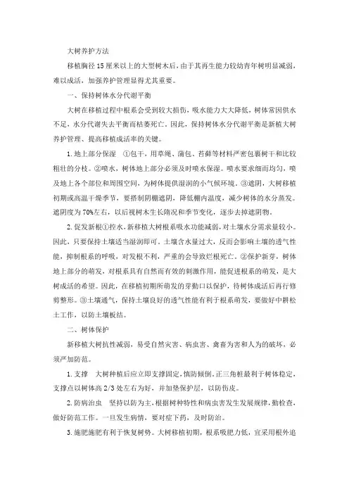 大树养护方法