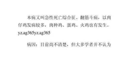 肉鸡猝死综合征